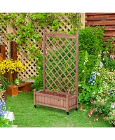 2-Pack Raised Garden Bed with Trellis & Climbing Racks