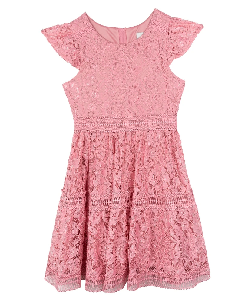 Rare Editions Big Girls Lace Party Dress