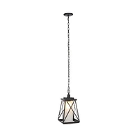 Braith 9.1" Outdoor Pendant