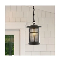 Osprey 8" Outdoor Pendant