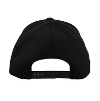Pokemon Men's Pokemon Adult Holographic Pu Pokeball Black Elite Flex Hat…
