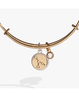Zodiac Bangle Bracelet Cancer