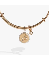 Zodiac Bangle Bracelet Leo