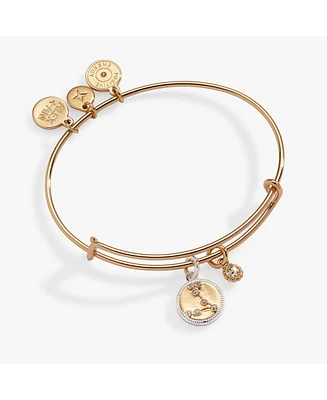 Zodiac Bangle Bracelet Pisces