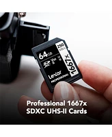 Panasonic Lumix S9 Mirrorless Camera with Lumix S 18-40mm f/4.5-6.3 Lens, Jet Black, Bundle with Professional 1667x 64GB Uhs-ii Sdxc Memory Card, Alpi