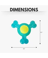 Tennis ball variety pack- boomerang, squeaker, three prong