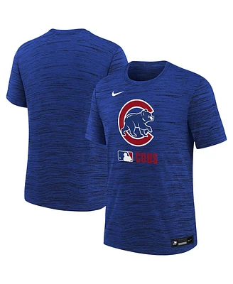 Nike Big Boys and Girls Royal Chicago Cubs Authentic Collection Velocity Performance T-Shirt