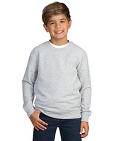 Tailorbyrd Boys Sueded Fleece Crewneck Pullover