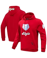 Pro Standard Men's Red Memphis Grizzlies 2024/25 City Edition Pullover Hoodie