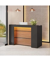 Tribesigns Reception Desk with Led Lights, 63 Inches Front Counter for Checkout, Lobby, Salon, Retail, Modern Large Table Store Shop