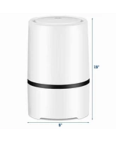 Mini Ionic 3-in-1 Composite Hepa Air Purifier