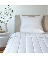 2 Pack Medium Down & Feather Chamber Bed Pillow