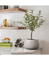 LuxenHome Speckled Off White and Brown Textured Ribbed Bowl -Inch Tall MgO Planter