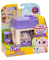Little Live Pets Mama Surprise Mini Bunny Playset