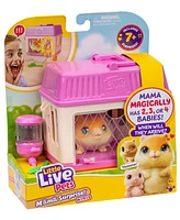 Little Live Pets Mama Surprise Mini Playset Hamster
