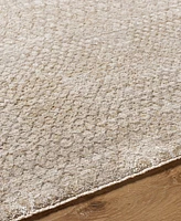 Livabliss Masterpiece Mpc- 10'x13'11" Area Rug