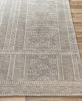 Surya Livorno Lvn 2302 Rug Collection