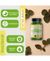 Max Berberine with Ginkgo Biloba