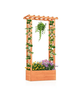 Raised Garden Bed with Side Trellis and Hanging Roof and Drainage Hole