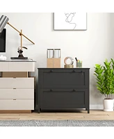 2 Drawer File Cabinet with Lock, Lateral Filing Cabinet with Keys and Adjustable Hanging Bar for Letter, A4 and Legal Size, File Cabinet for Home Offi