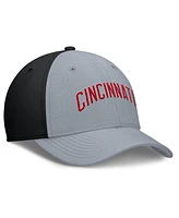 Nike Men's Gray/Black Cincinnati Reds Rise Swoosh Performance Flex Hat