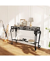 Stylish Glass & Metal Console Table with Storage