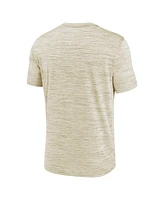 Nike Men's Cream Los Angeles Angels 2025 City Connect Authentic Collection Velocity Performance T-Shirt