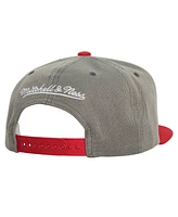 Mitchell & Ness Men's Gray Boston Red Sox Cooperstown Collection Basic Flip Snapback Hat