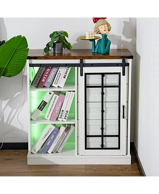Modern Minimalist Storage Cabinet for Kitchen, Living Room or Home