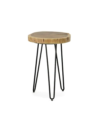 Iron and Solid Wood End Table – Round Accent with Industrial Charm Durability
