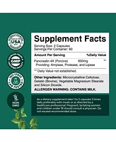 Pancreatic Digestive | Enzymes for Digestive Health, Protease Amylase & Lipase Enzymes for Digestion | 120ct