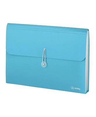 Accordion File Organizer 13 Pocket Expanding File Folder With Labels Accordion File Organizer Letter Size Letter A4 Paper For Receipts Bills Documents X2013by Enday