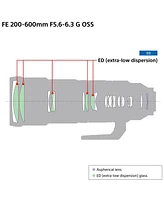 Sony Fe 200-600mm f/5.6-6.3 G Oss Lens for Sony E with Vanguard Alta Pro 264AT 4-Section Al Tripod and Tbh-100 Head