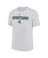 Nike Men's Ash Michigan State Spartans 2025 Sideline Velocity Performance T-Shirt