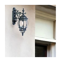 Hanging Glass Globe Wall Light for Bedroom Hallway or Living Room