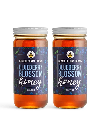 Bumbleberry Farms Blueberry Blossom Honey Set of 2