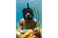 Moflow+ Black Pink Irridium Xs - Enhanced Vision, Comfortable Fit, Adult Snorkeling