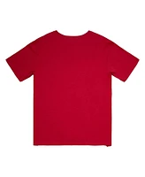 Mitchell & Ness Men's Red Chicago Bulls Legendary Slub T-Shirt