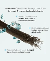 Fekkai Super Strength+ Shampoo, 8.5 oz.