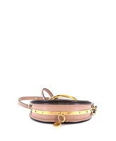 Pre-Owned Chloe Mini Nile Crossbody Bag Leather