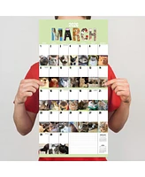 2026 Cat-a-Day Wall Calendar
