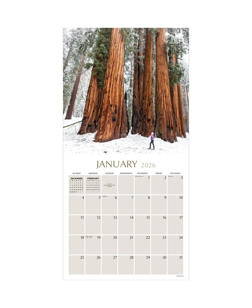 2026 Trees Wall Calendar