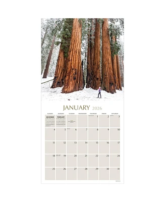 2026 Trees Wall Calendar
