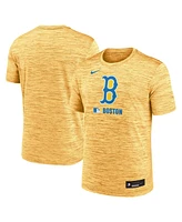 Nike Men's Gold Boston Red Sox 2025 City Connect Authentic Collection Velocity Performance T-Shirt