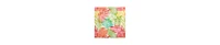 J by Queen Bold Tiki 2-Pc. Comforter Set, Twin/Twin Xl