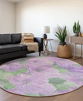 Addison Chantille Machine Washable ACN1543 8'x8' Round Area Rug