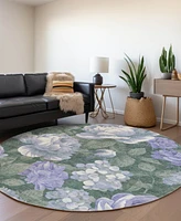 Addison Chantille Machine Washable ACN1563 8'x8' Round Area Rug