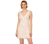 Adrianna Papell Women's Beaded Mesh V-Neck A-Line Dress
