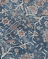 Amer Rugs Alaska Machine Washable Ala5 Rug Collection