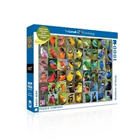 New York Puzzle Company Rainbow of Birds 1000 Piece Puzzle